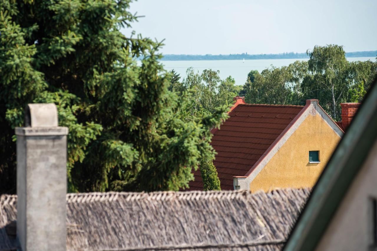 Katzer Villa Badacsonytördemic エクステリア 写真