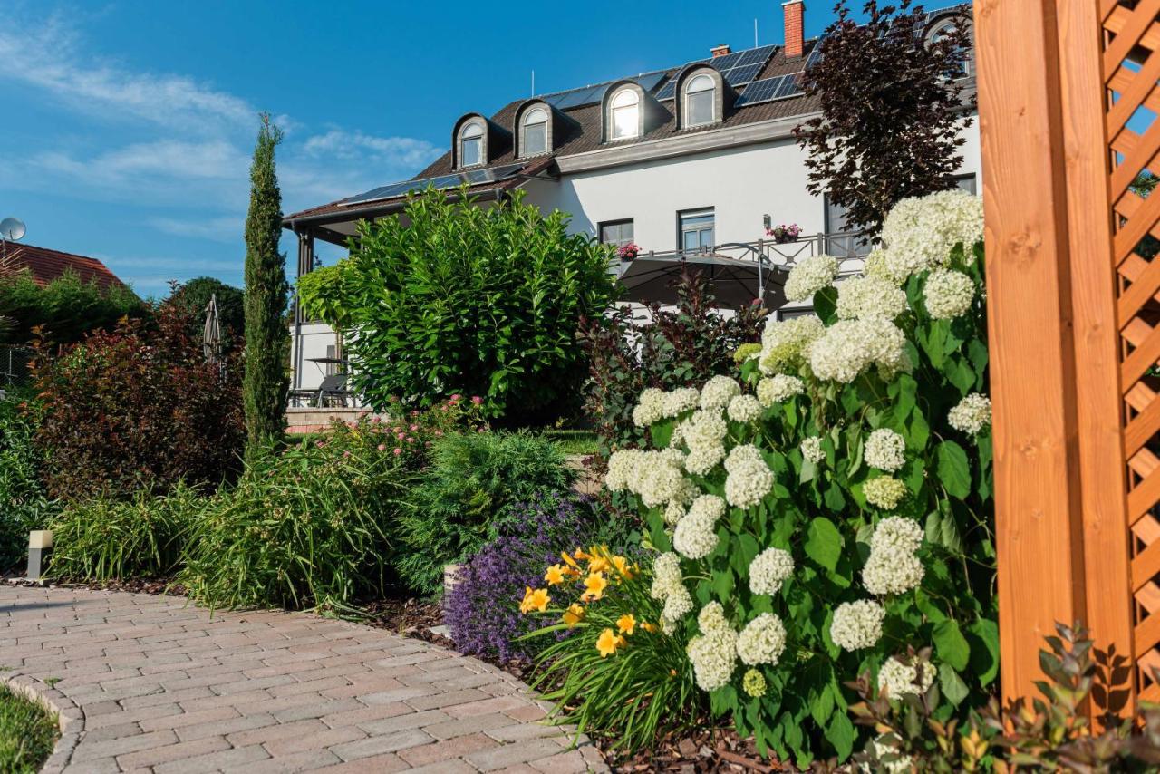 Katzer Villa Badacsonytördemic エクステリア 写真
